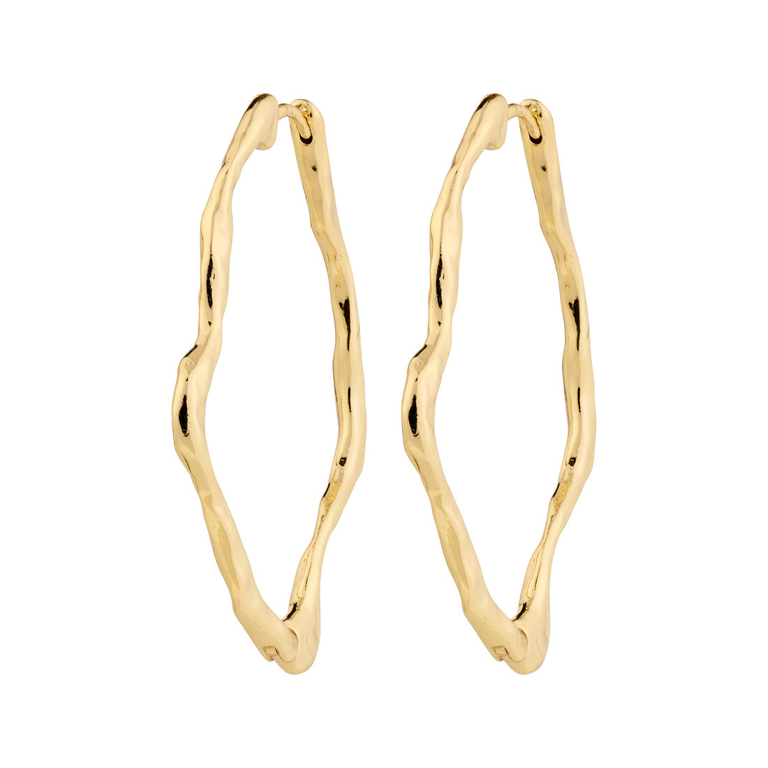 Pilgrim Dylan Earrings