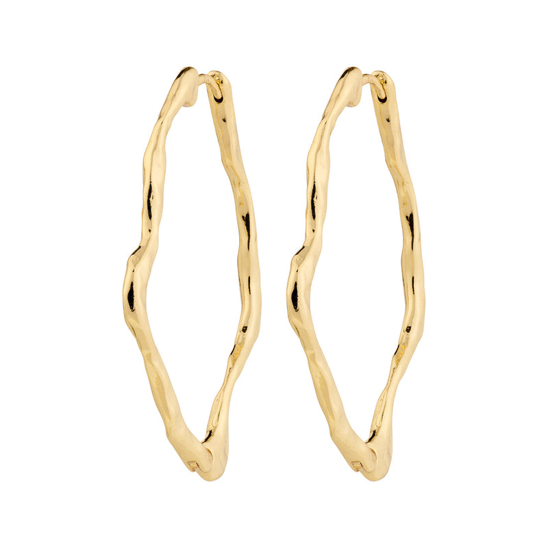 Pilgrim Dylan Earrings
