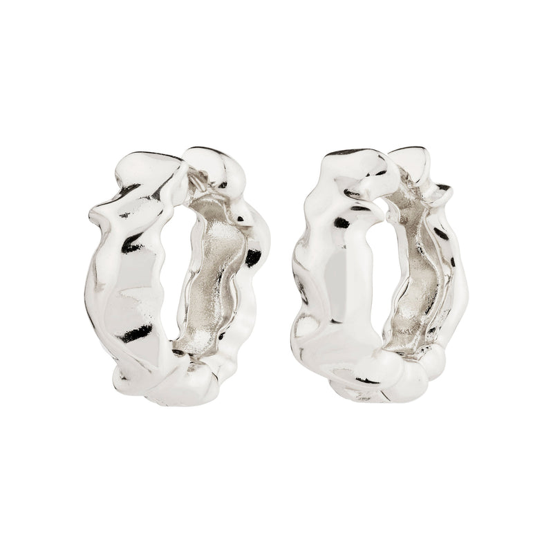 Pilgrim Elliot Earrings