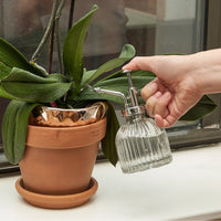 Handheld Glass Mister Mist Spray Bottle