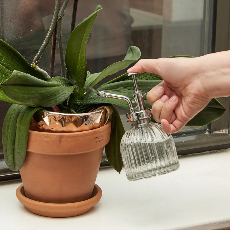 Handheld Glass Mister Mist Spray Bottle