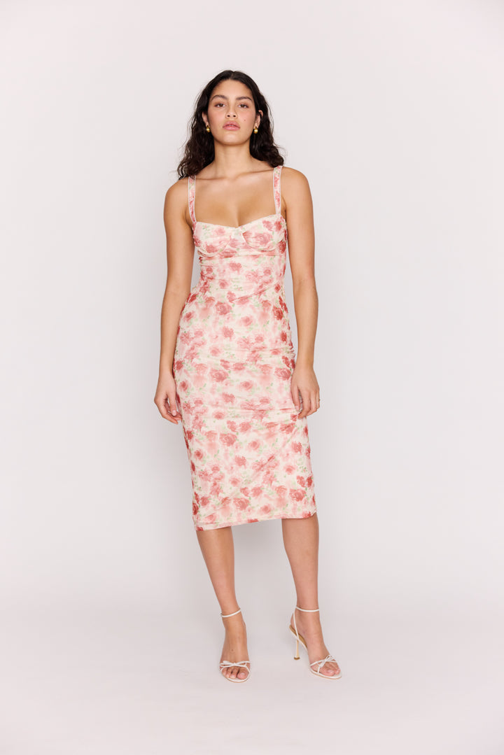 Mink Pink Camille Mesh Bustier Dress