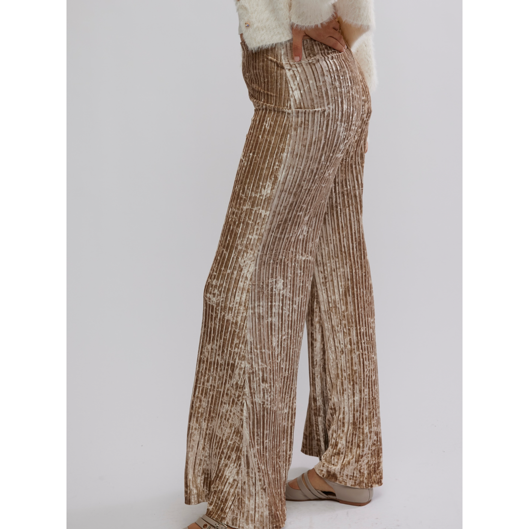 Free People Star Sign Velvet Pants