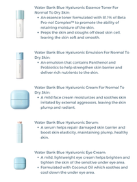 Laneige Water Bank Blue Hyaluronic 5 Step Essential Kit