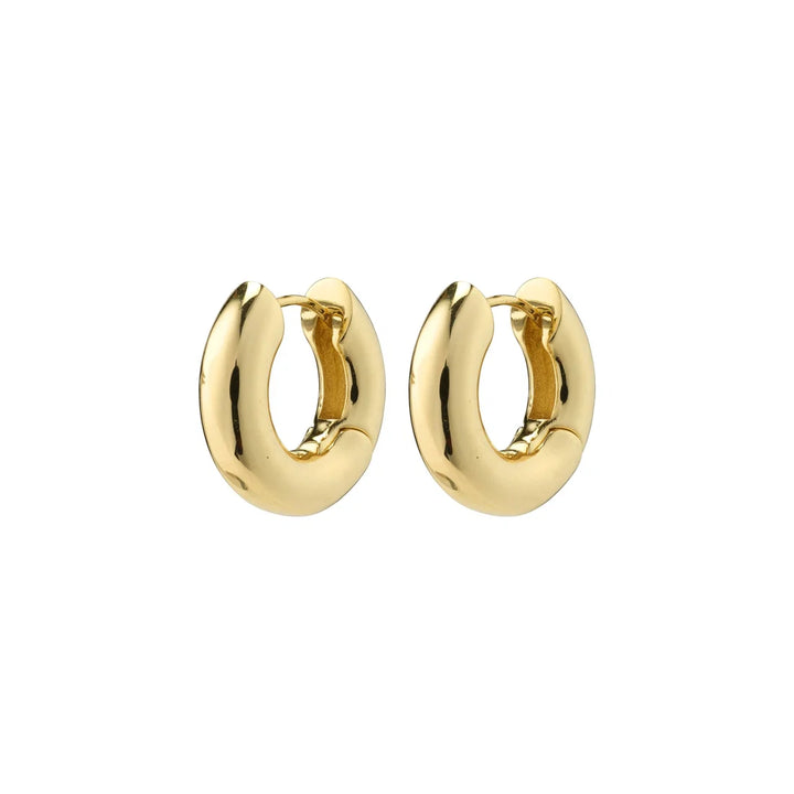 Pilgrim Aica Earrings