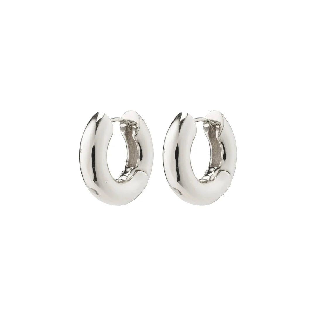 Pilgrim Aica Earrings