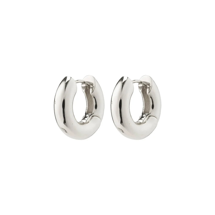 Pilgrim Aica Earrings
