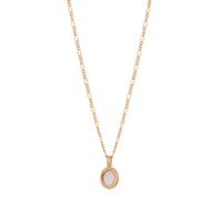 Pearl Shell Layered Simple Necklaces DPJN1904: Shell