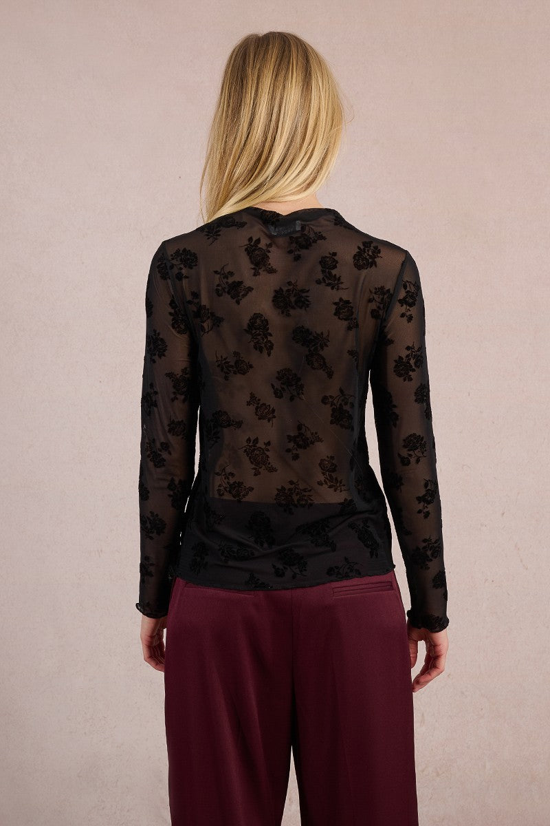 Molly Bracken Sheer Lace Top