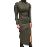 Ribbed Rollneck Bodycon Long Dress